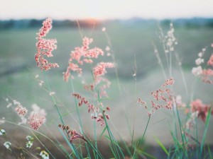 母のように「愛してる」と言えるように。私たちは繋がっているよ。