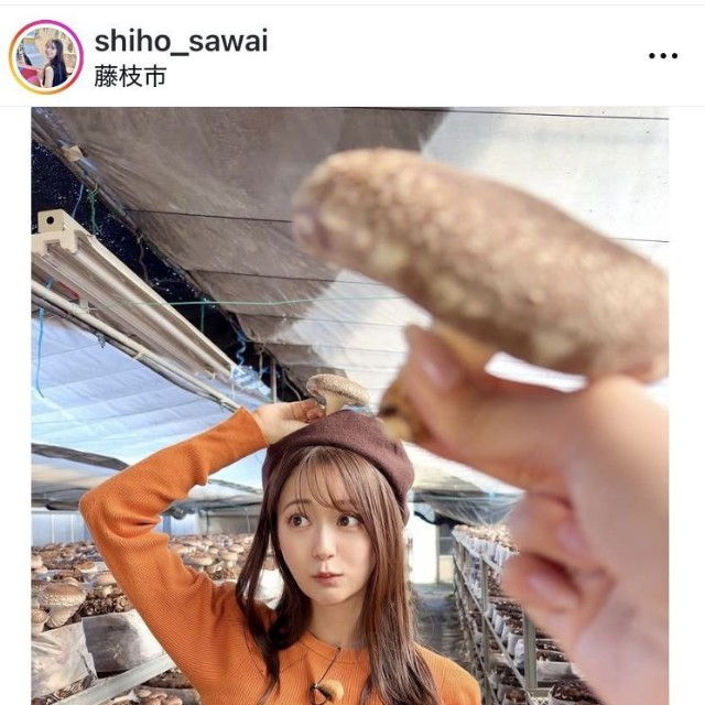 澤井志帆アナウンサーのインスタグラム＠shiho_sawaiより