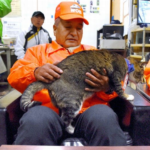 「見守る会」事務局長の中原さんのひざの上でくつろぐりょうま駅長