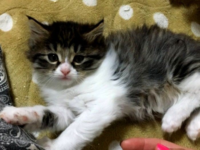 もう少し大きくなったら家族を探すよ（中山さん提供）