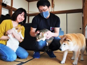 農村移住した夫婦の家に、ワケアリ犬猫がやってきた！　３匹の家族が増えてにぎやかに