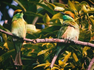 目立つと仲間はずれにされると思っていた。結果的に心を病んでしまった