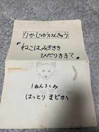 小学一年生で実施した自由研究/服部円さん（@madokahattori）提供