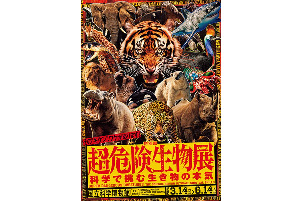 特別展「超危険生物展 科学で挑む生き物の本気」 無料観覧券プレゼント