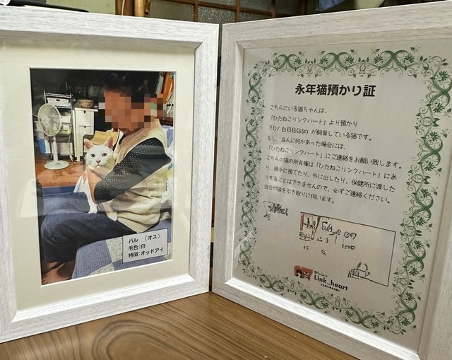 記念すべき第1号！／提供：yukaさん