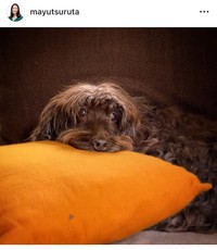 鶴田真由インスタグラム＠mayutsurutaより