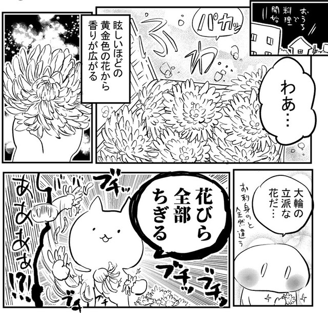 まずは花びらを全部ちぎる（赤夏さん提供）