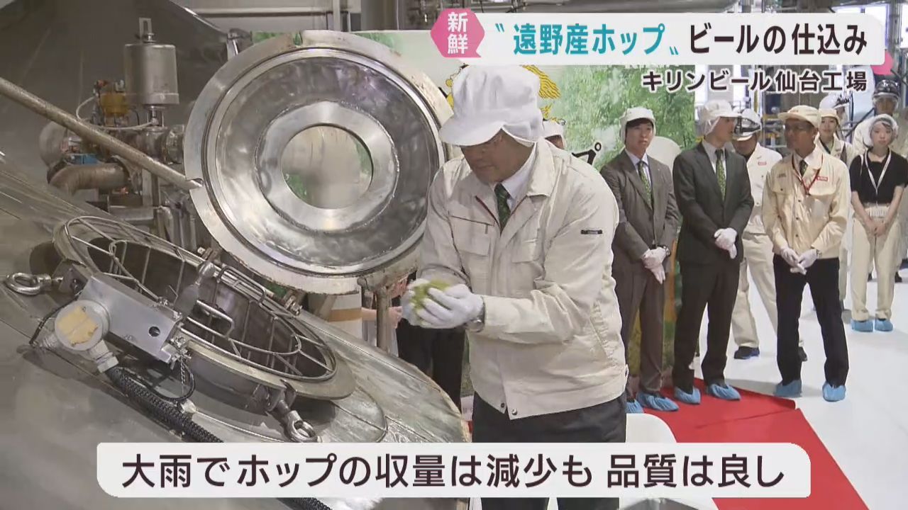 岩手・遠野産のホップでビールの仕込みが始まる　キリンビール仙台工場