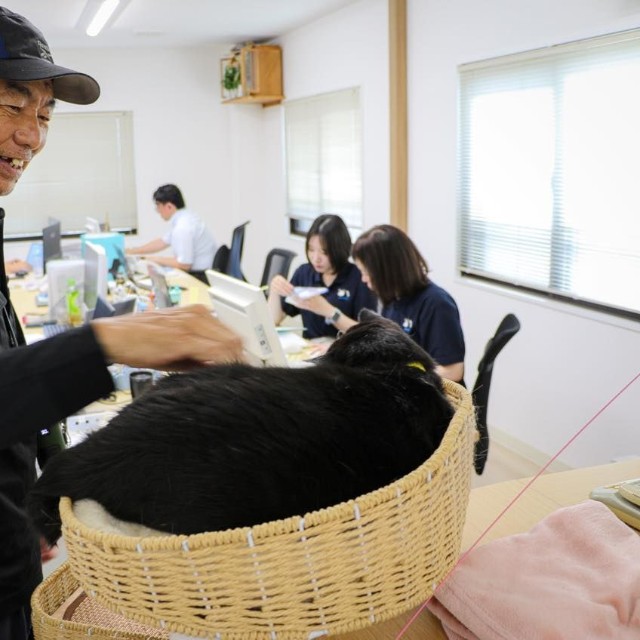 ベッドのそばを通る社員たちがふくを撫でてゆく（撮影／石黒謙吾）