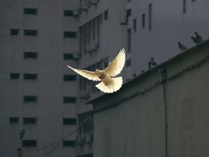 8月15日、笑顔で迎える友と、涙で迎える友。そして私は……