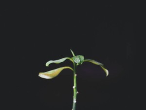 普通ではない世界を知り死にかけた、当たり前の価値を知るまで