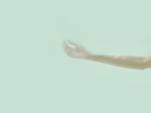 ロイちゃんがこの世を去り5か月。愛猫の死は私を強く、少し優しくした