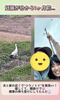 近所でコウノトリを発見し、撮影して待ち受けにしていた／あすかさん（@asuka_4kids__)提供
