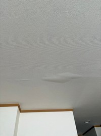 天井の壁紙がもっこり…雨漏り、漏水のサインです！（独身くそおばさん提供）