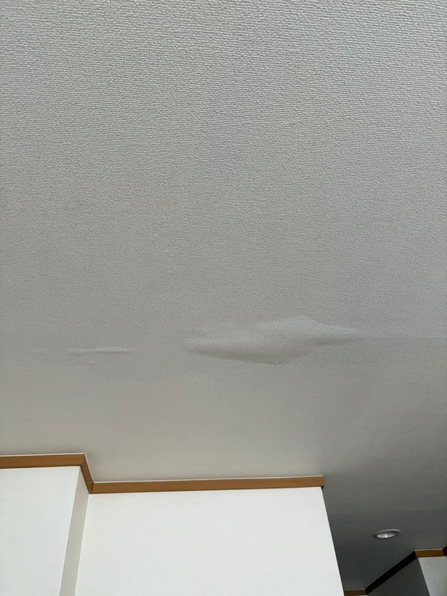 天井の壁紙がもっこり…雨漏り、漏水のサインです！（独身くそおばさん提供）