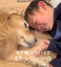 きなこちゃんと穏やかに過ごす時間♡（提供：@kinako_3brosさん）