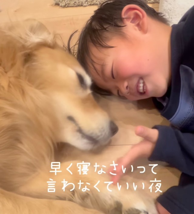 きなこちゃんと穏やかに過ごす時間♡（提供：@kinako_3brosさん）