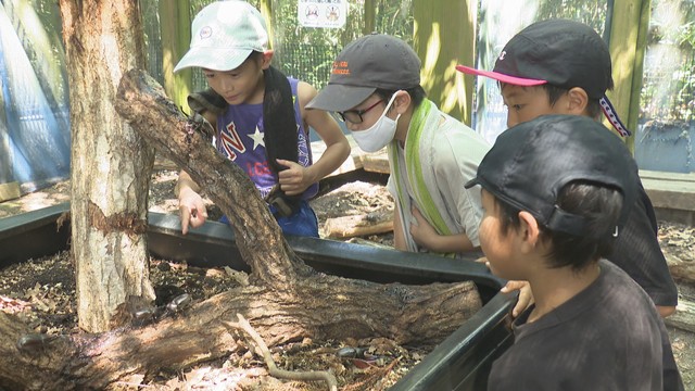  夏休みにぴったり！親子で楽しめるスポット「国営讃岐まんのう公園」　香川・まんのう町【いまココ！ナビ】