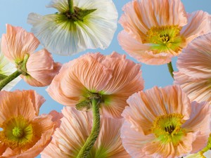 いつか「女性起業家」と呼ばれなくなる日まで、今は一起業家として粘り続ける