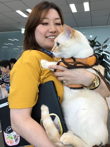 マースの総務部門・大熊さんと愛猫ショーン「僕が来ると仕事はかどるでしょ」（マース提供）