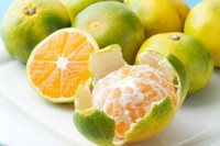 画像はイメージです（ykokamoto／stock.adobe.com）