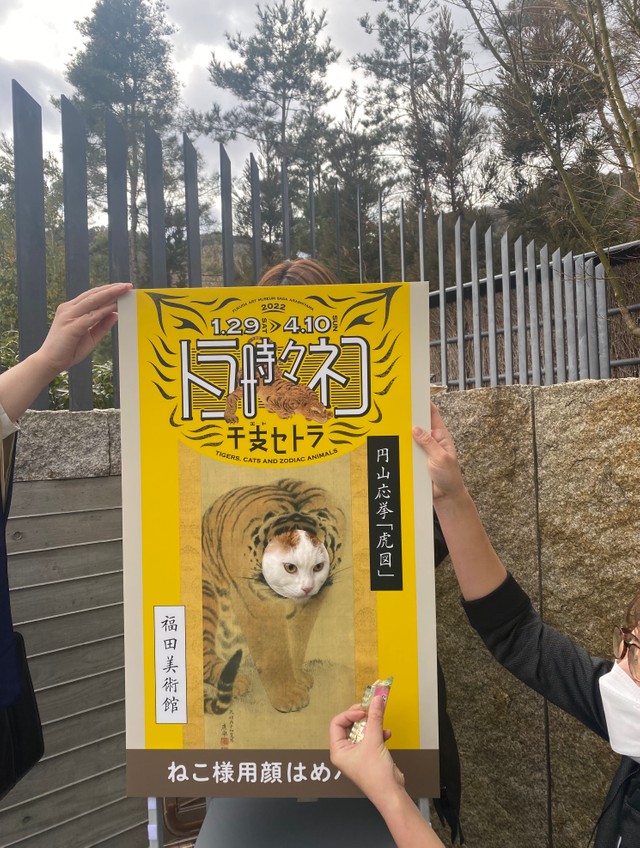 ねこ様の一瞬の表情を見逃さず撮影しましょう(福田美術館提供)