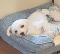 モト冬樹のアメーバブログより