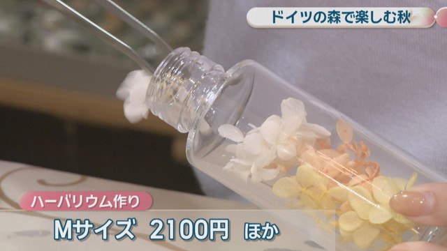 Mサイズ　2100円ほか