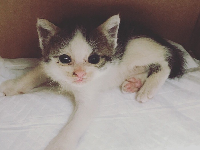 ここはどこかな？　あなたは誰かしら？