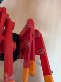 スムーズに動く足の構造