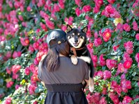 きれいなお花を背景に、飼い主のママに抱っこされて笑顔になるだん吉くん（画像提供：だん吉さん）