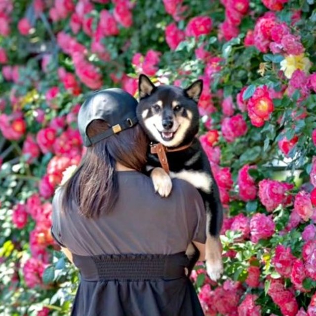 きれいなお花を背景に、飼い主のママに抱っこされて笑顔になるだん吉くん（画像提供：だん吉さん）