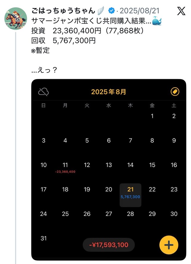 サマージャンボの結果は…残念ながらマイナス！