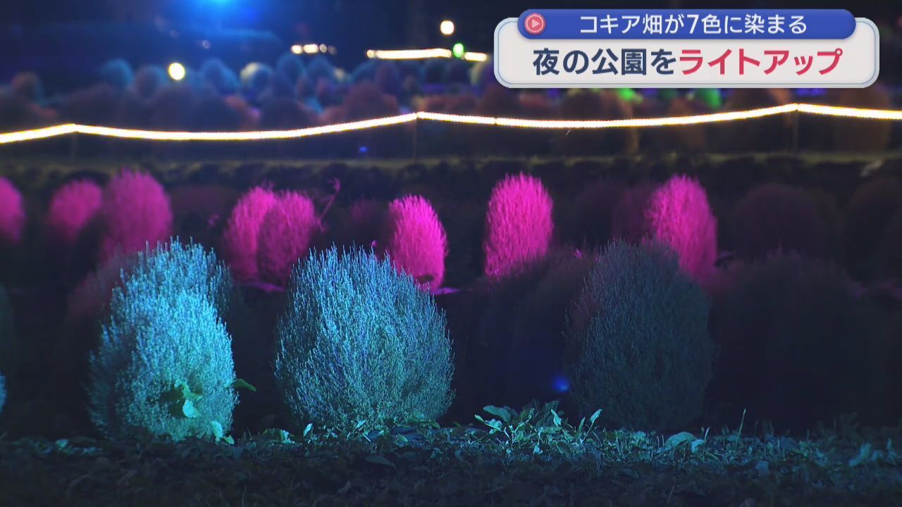 「みちのくふるさと秋灯り」はじまる　宮城・川崎町