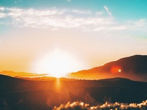 「幸せだったかな」と後悔。たくさんの愛をくれたのに見送れなかった