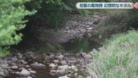 高松市塩江地区