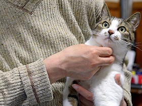 作家・評論家、笠井潔さん　甘がみ超えた「他人の関係」