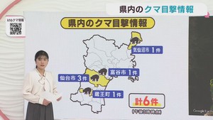 クマの目撃情報　宮城県　３０日午後３時〜１日午後３時