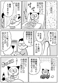 【漫画】『子宮全摘手術レポ』28（春日サブスカさん提供）