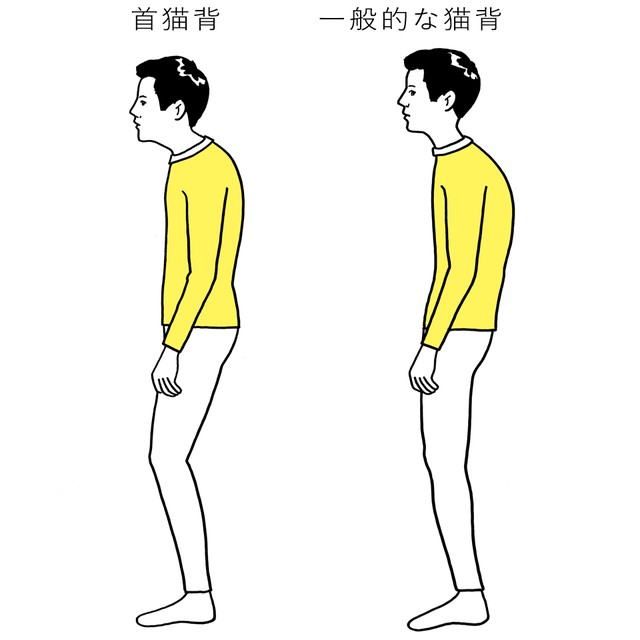 写真・図版