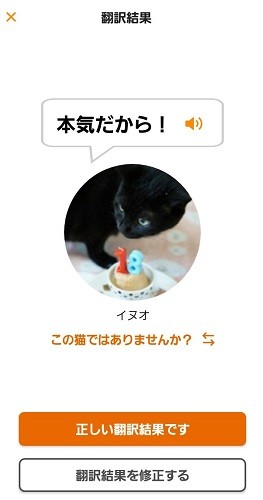 ありがとう～！なんだか勇気がでるのでした……