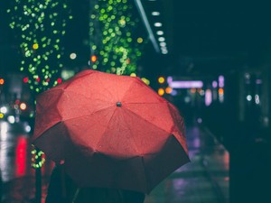 言葉では伝えられないから、たった2分間の相合傘で彼を独り占めした