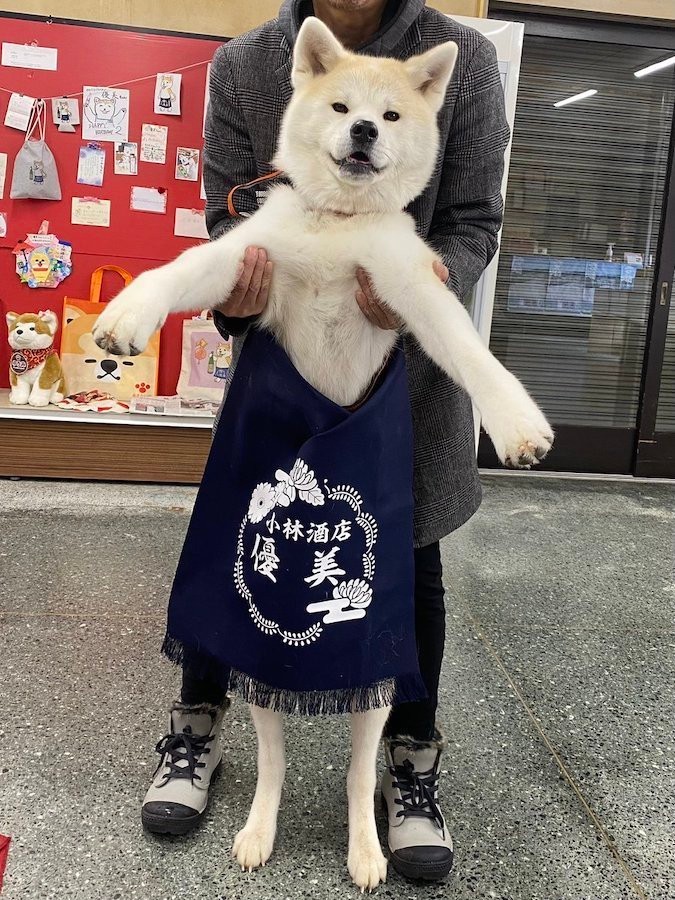 酒屋の看板犬は「忠犬管理職！？」 「朝の全体ミーティング」に参加