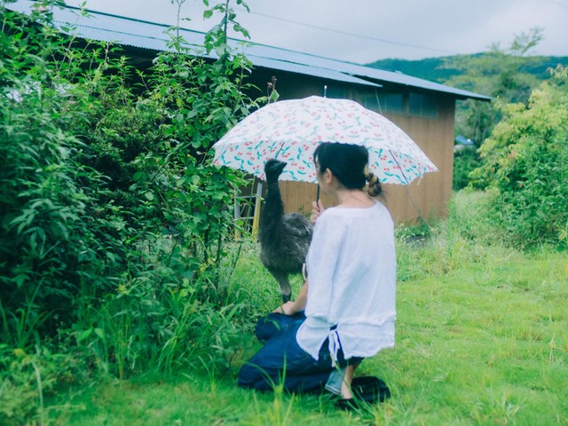 ひとつ屋根の下で（提供：砂漠さん）