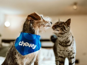  母の望む「25歳までに結婚」を叶えたけど、8カ月で離婚。予定変更で考えたことは