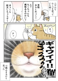 【漫画】『ネコまんがまとめ』19　（も～さんの提供）