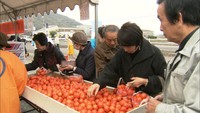 皮が赤く味が濃いのが特徴…香川県産のブランドミカン「小原紅早生」の試食販売