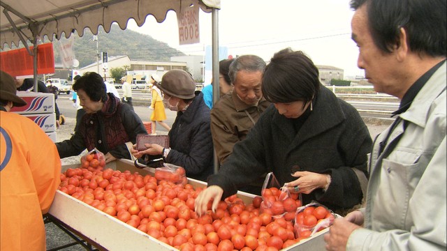 皮が赤く味が濃いのが特徴…香川県産のブランドミカン「小原紅早生」の試食販売