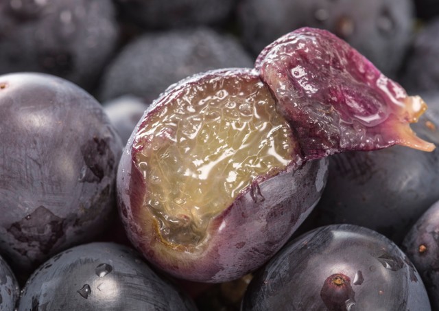 ぶどうの皮のむきも簡単！※画像はイメージです（kai/stock.adobe.com）