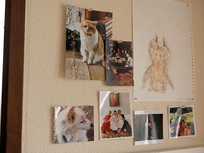 左下に写っているのが実家の犬「カメ」（雑種犬／メス／18歳）。壁には鈴木さんの“大好き”が詰まった写真が並ぶ